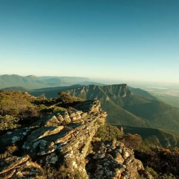 grampians food and wine tours