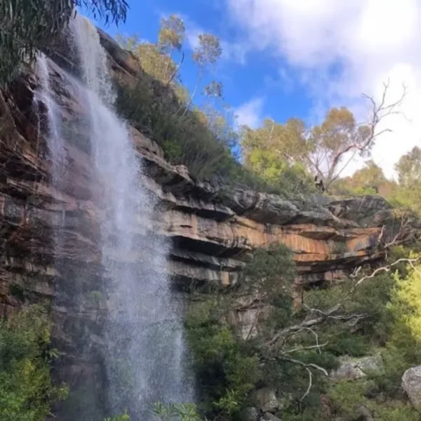 grampians national park tour from melbourne