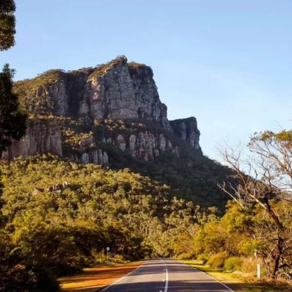 grampians tours