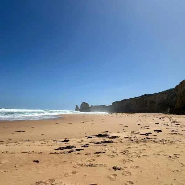 great ocean road 1 day tour
