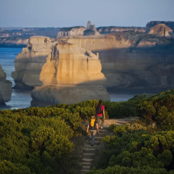 great ocean road day tour from melbourne