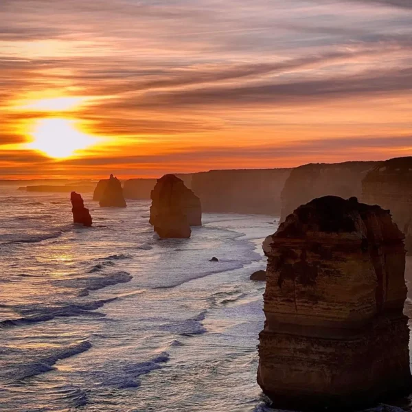 great ocean road day tour