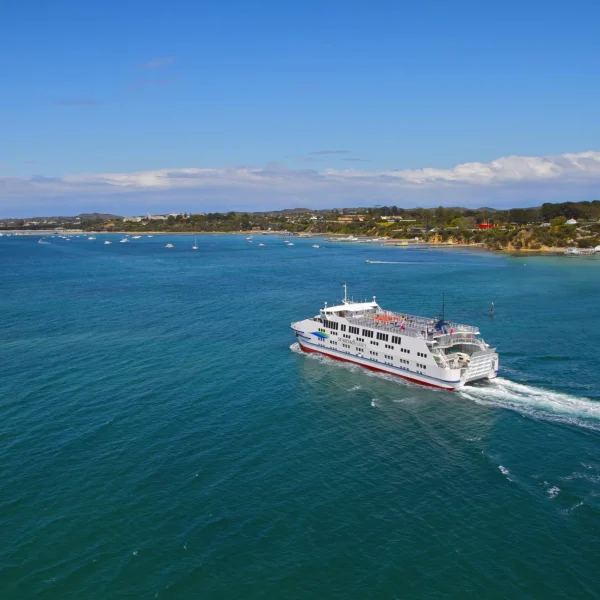 great ocean road day tours