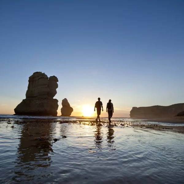 great ocean road day trip