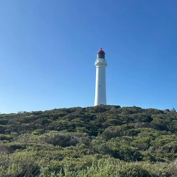 great ocean road day trips from melbourne