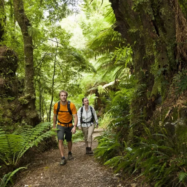 great ocean road itinerary 3 days