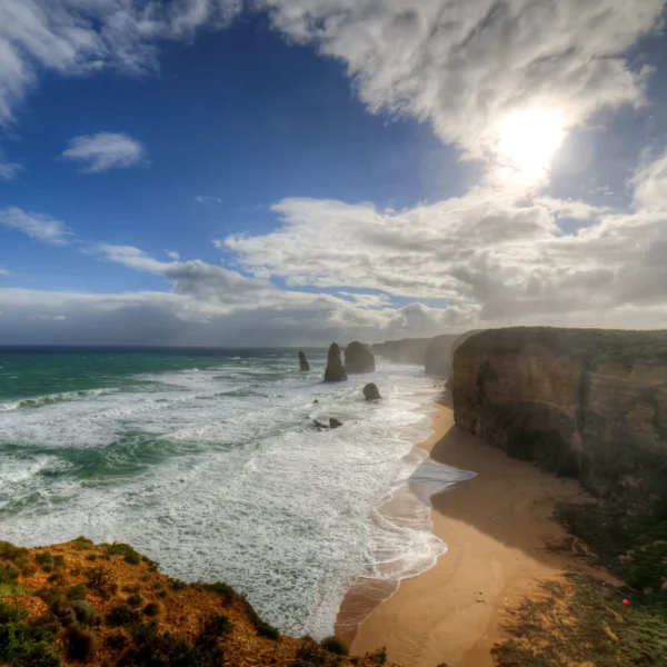 great ocean tour melbourne
