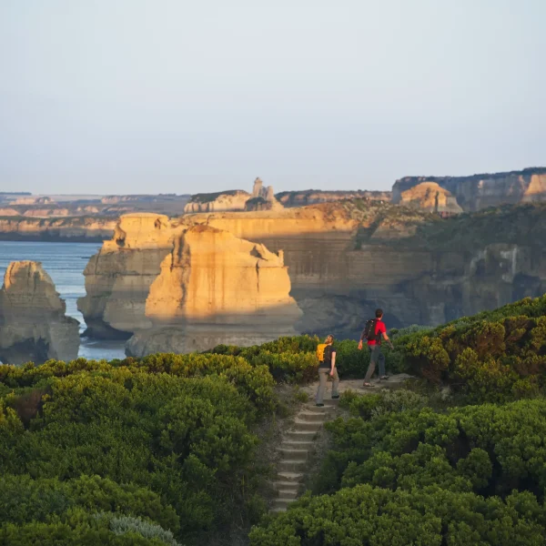 great ocean tour