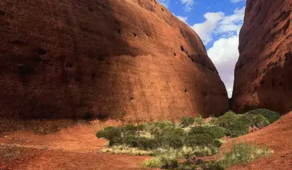 things to do in Uluru