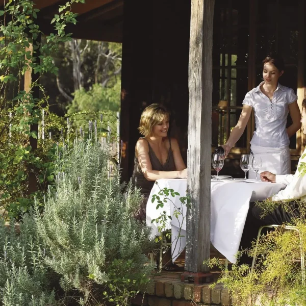 hunter valley wine tasting tours