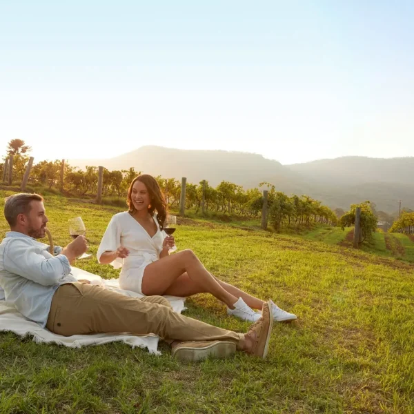 vineyard tours
