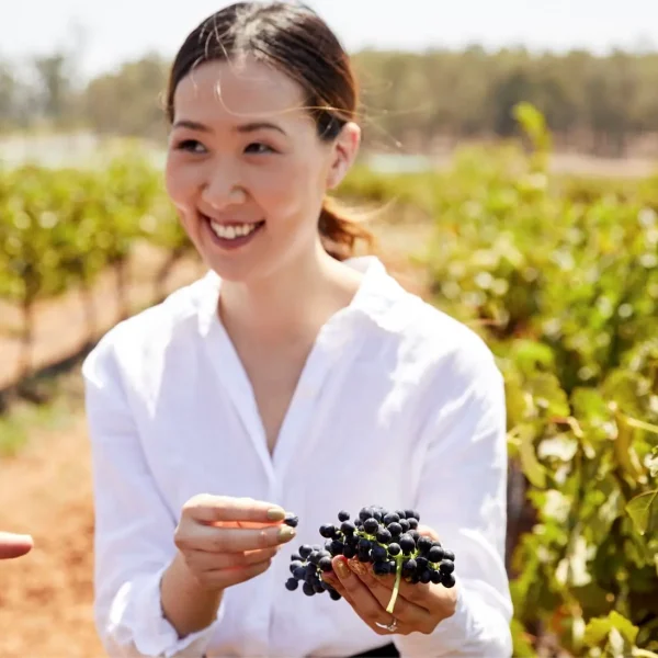 hunter valley vineyard tours