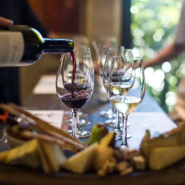 hunter valley tour from sydney