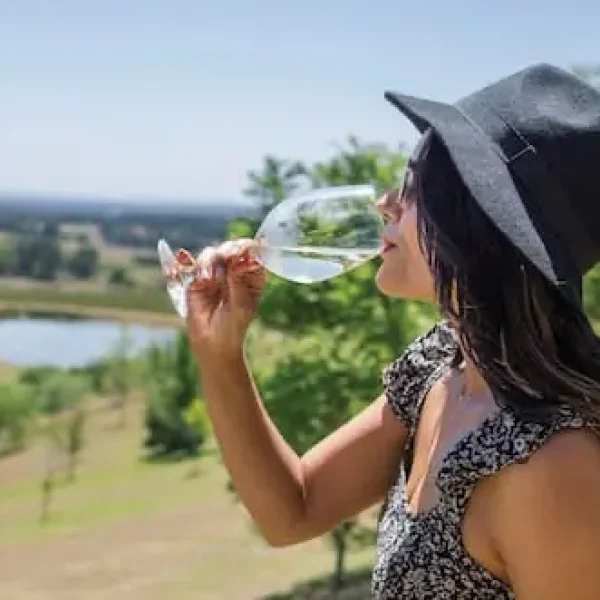 hunter valley wine tours from sydney