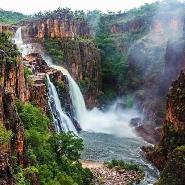 kakadu family tours