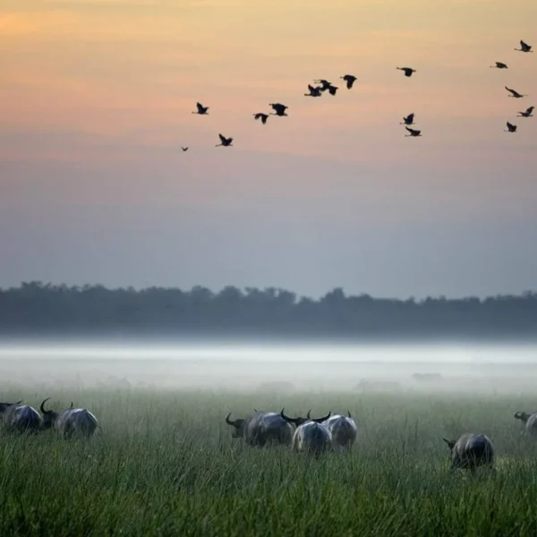 kakadu national park tours 5 days