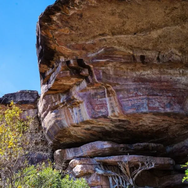 kakadu small group tours
