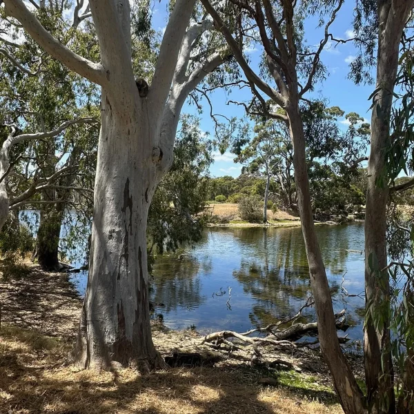 kangaroo island tour from adelaide