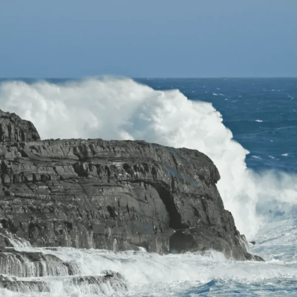 kangaroo island tours from adelaide
