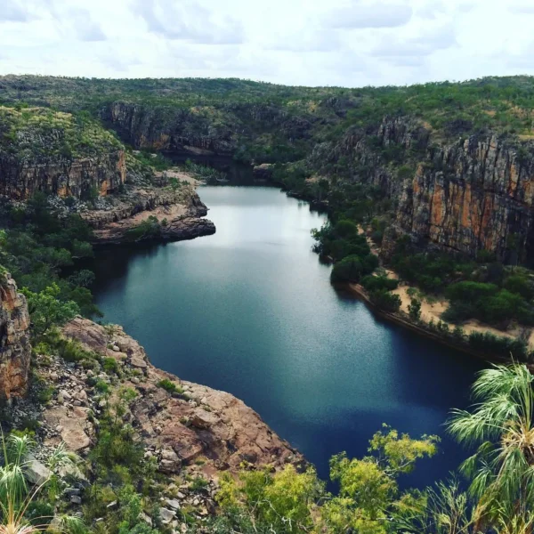 katherine gorge and kakadu tours
