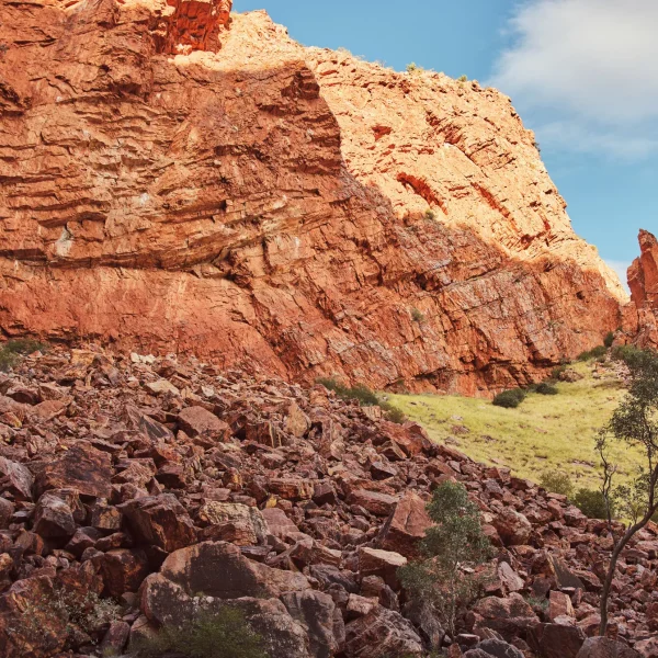 kings canyon and outback panoramas tour