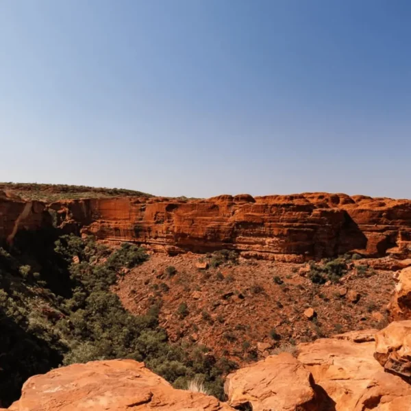 kings canyon rim walk tour