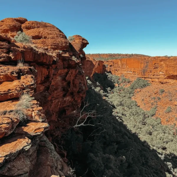 kings canyon small group tours