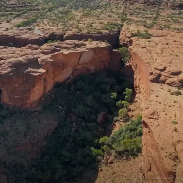 kings canyon tours from uluru