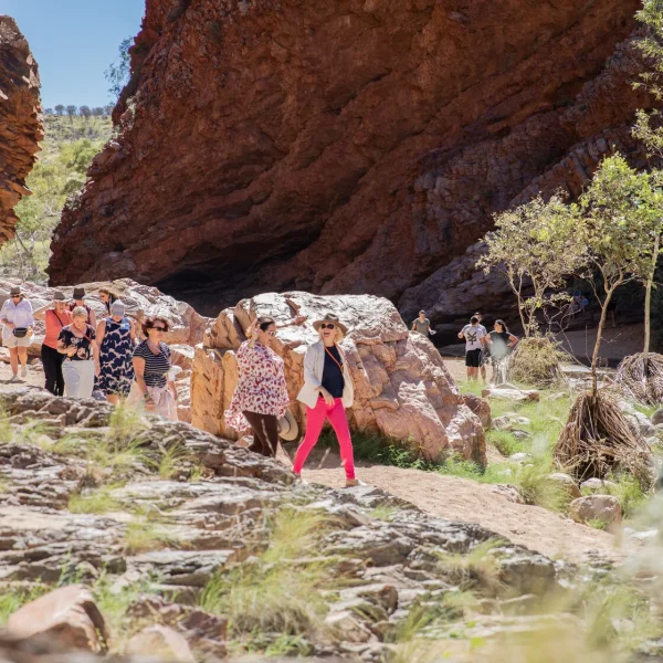 kings canyon uluru