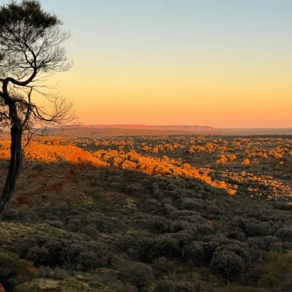 kings canyon uluru tour