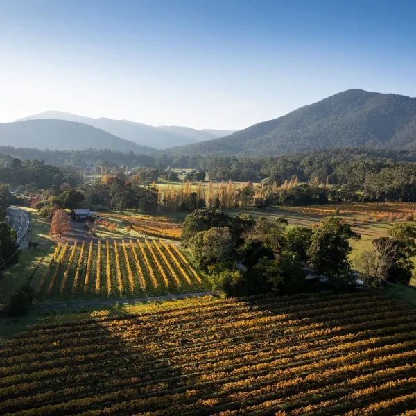 luxury yarra valley tour company