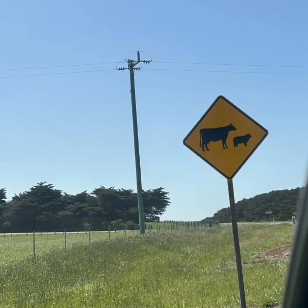 melbourne great ocean road trip