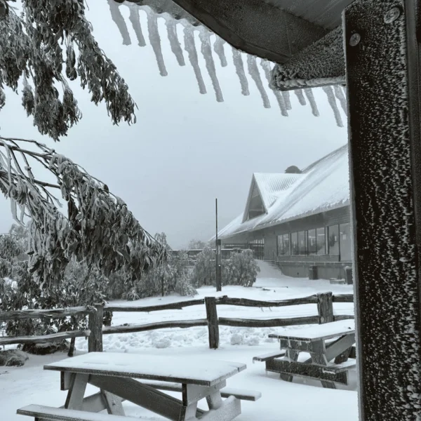 melbourne snow day trip