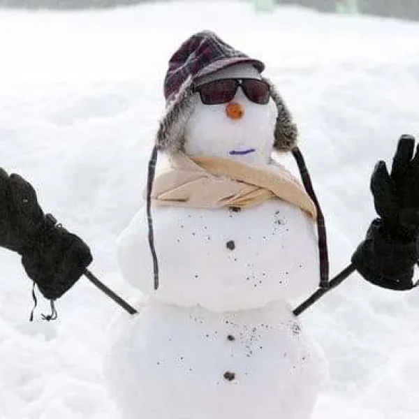 snow trips nsw