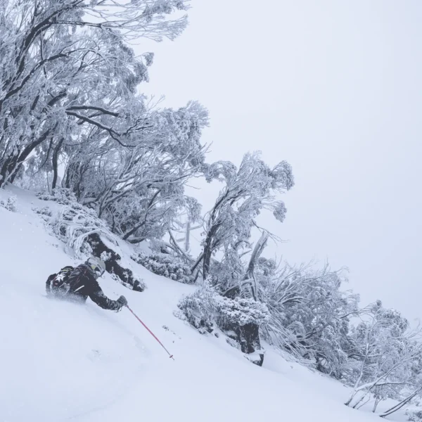 melbourne snow private tour
