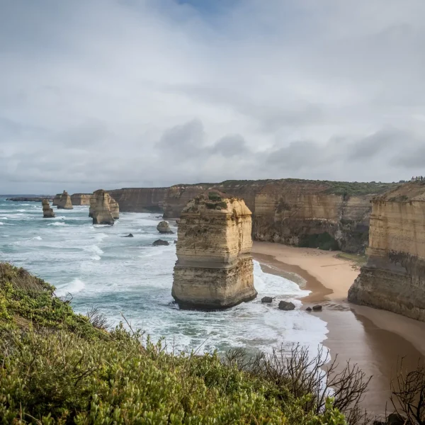 melbourne tours great ocean road