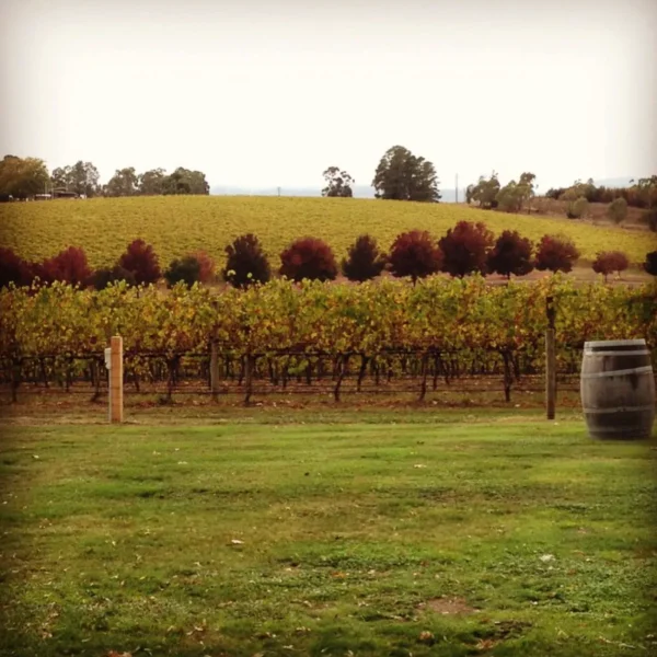 melbourne yarra valley tour