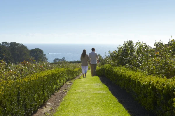mornington peninsula winery tours and transport