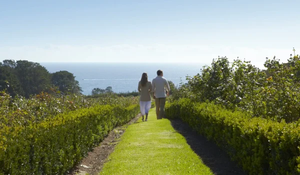 mornington peninsula winery tours and transport