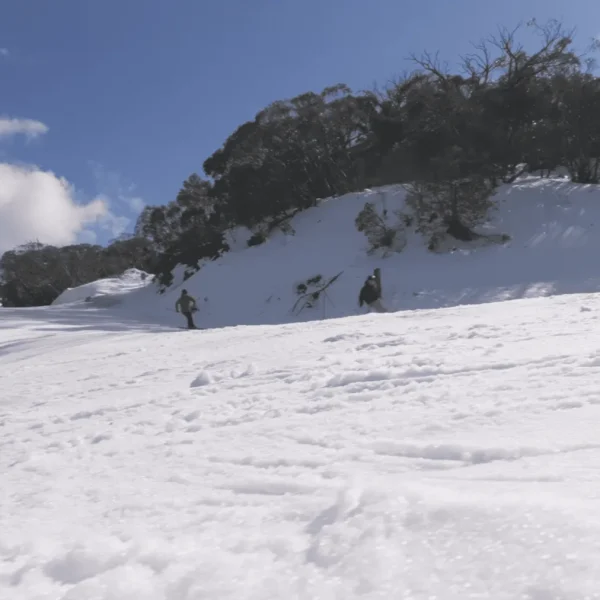 mount buller tour