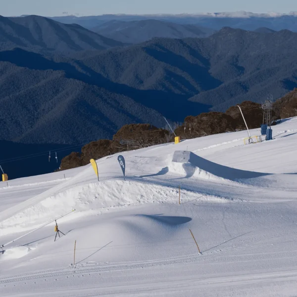 mount buller trips