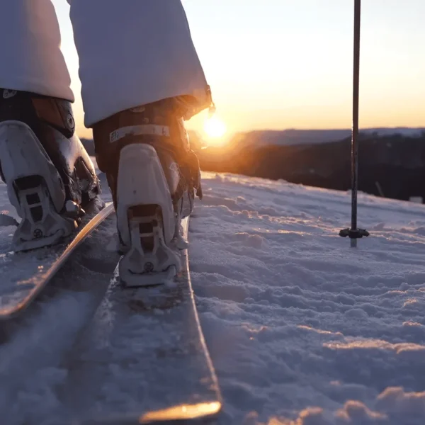 mt buller day tour from melbourne
