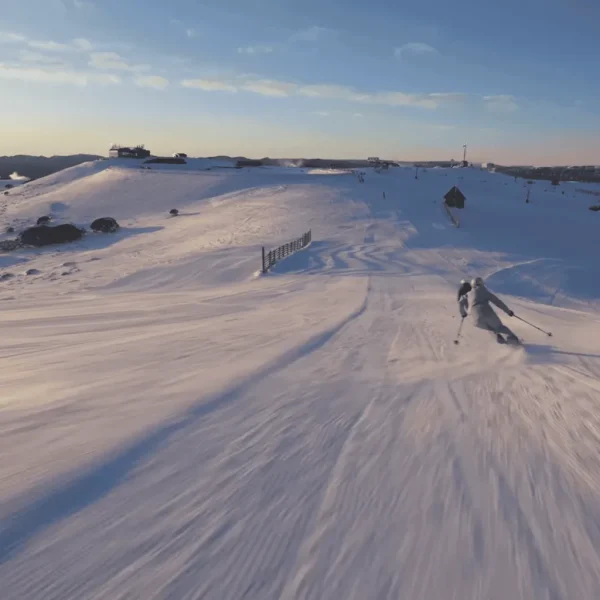mt buller day tour
