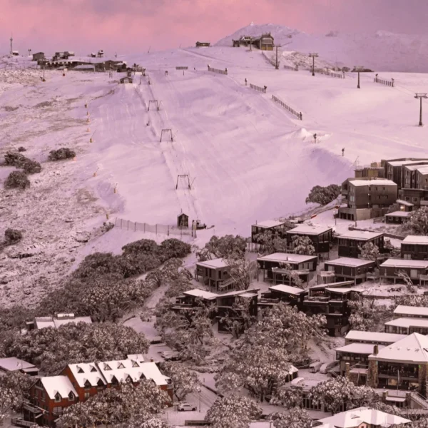 mt buller one day tour