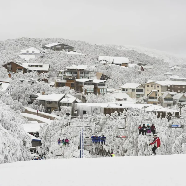 mt buller tours from melbourne
