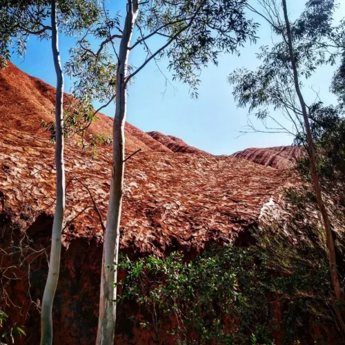 mutitjulu waterhole photos
