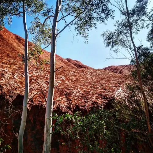 mutitjulu waterhole photos