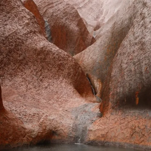 mutitjulu waterhole videos