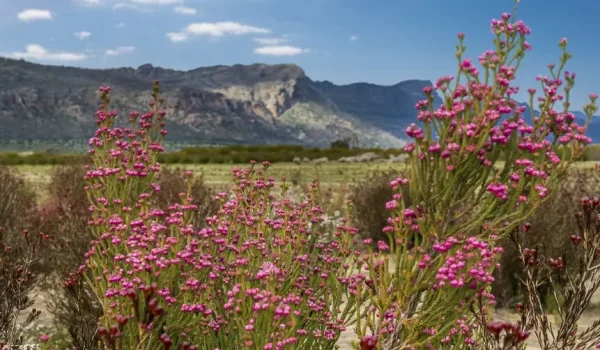 national parks grampians