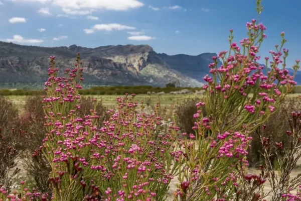 national parks grampians